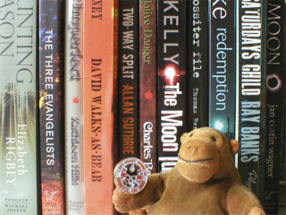 Mr Monkey in front of some more books