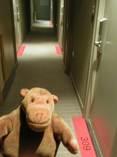 Mr Monkey creeping down the corridor outside his room