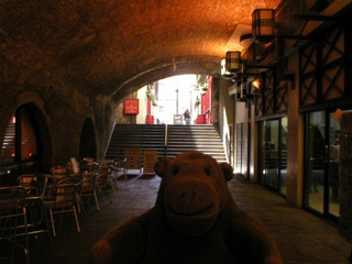 Mr Monkey looking towards the front door of the museum