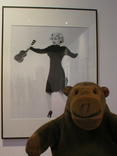 Mr Monkey examining a Marilyn Monroe publicity still
