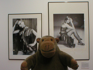 Mr Monkey looking at pictures of Jean Shrimpton and Inger