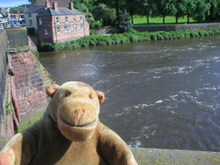 Mr Monkey looking at the Dee from the Old Dee Bridge