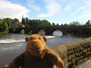 Mr Monkey looking at the Old Dee Bridge