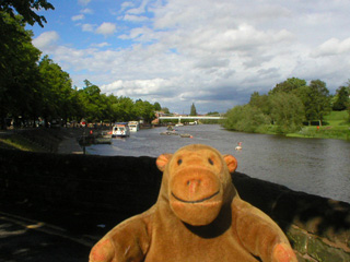 Mr Monkey looking towards the suspension bridge