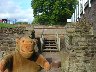 Mr Monkey looking at the entrance to the amphitheatre