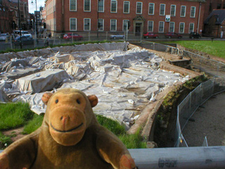 Mr Monkey looking at the covered over excavations at Chester's amphitheatre
