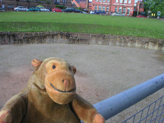 Mr Monkey looking down on the amphitheatre floor