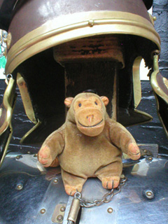 Mr Monkey sitting under a Roman helmet