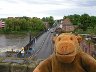 Mr Monkey looking at the Dee Bridge from above