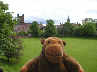 Mr Monkey looking across the playing fields from King Charles tower