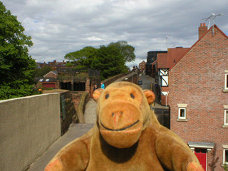 Mr Monkey on a modern bridge looking back at a small tower