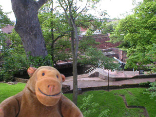 Mr Monkey looking down on the staircase of locks at Chester