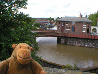 Mr Monkey looking at the from the walls of Chester