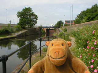 Mr Monkey beside the Bridgewater Canal