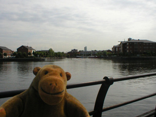 Mr Monkey looking across the Ship Canal to South Bay