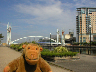 Mr Monkey looking at the Lowry footbridge