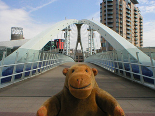 Mr Monkey looking from the suspension bridge