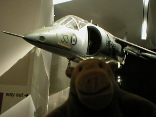 Mr Monkey looking at the an AV8-A Harrier