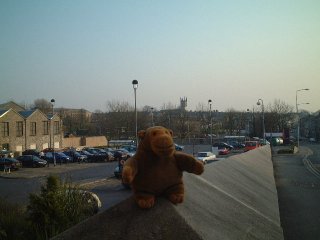 Mr Monkey waiting in a supermarket car park