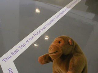 Mr Monkey looking at a fact on the floor of the exhibition