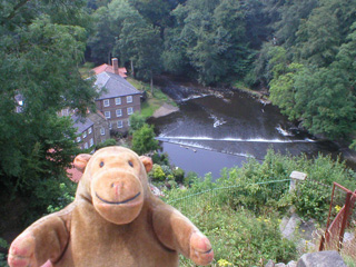 Mr Monkey looking at weirs on the Nidd