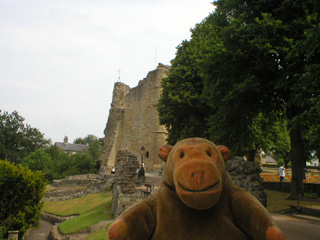 Mr Monkey looking at the Kings Tower
