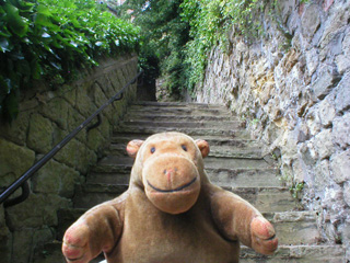 Mr Monkey on the steps beside the river
