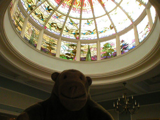 Mr Monkey looking up at a stained glass ceiling
