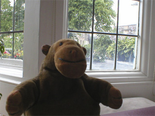 Mr Monkey looking out of the window of Farrahs Palm Court cafe