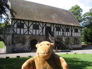 Mr Monkey looking at the hospitium
