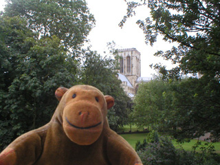 Mr Monkey glimpsing the tower of York Minster through some trees 