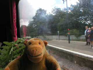 Mr Monkey looking from the train while leaving York station