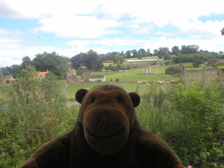 Mr Monkey looking at Kirkham Priory from the train