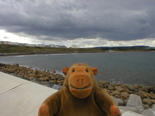 Mr Monkey looking across North Bay from the road