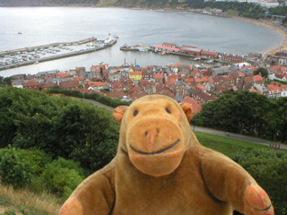 Mr Monkey looking down onto Scarborough harbour