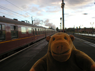 Mr Monkey watching a steam train leave York station
