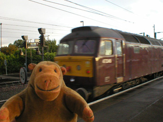 Mr Monkey looking at the diesel engine on the end of his steam train