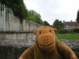 Mr Monkey looking along the wall towards Walmgate Bar