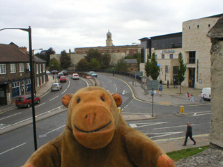 Mr Monkey looking at Castle Mills Bridge from the wall