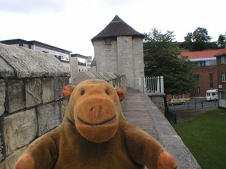 Mr Monkey walking towards the Fishergate Postern tower
