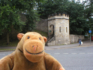 Mr Monkey crossing the road to the south west section of the walls