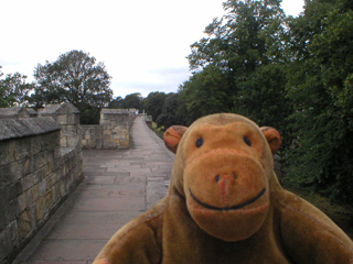Mr Monkey walking north from Bitchdaughter Tower
