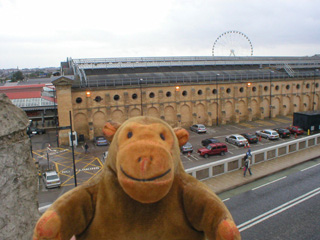 Mr Monkey looking at York station from the city walls