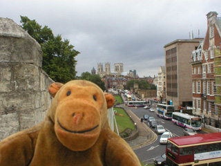 Mr Monkey looking at the Minster from the walls to the south west