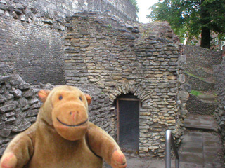 Mr Monkey looking at the Anglian tower