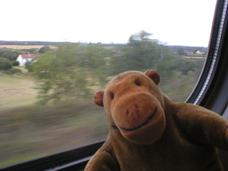 Mr Monkey looking at fields on the way to Manchester