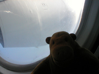 Mr Monkey looking out of his plane window
