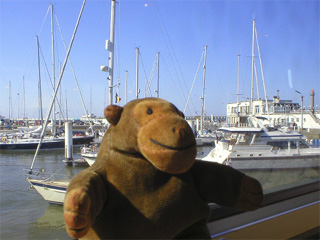 Mr Monkey looking out of the window of the Seastar