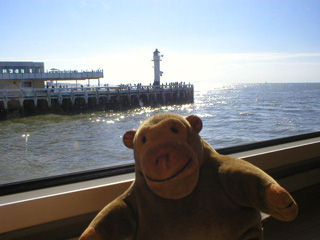 Mr Monkey looking looking at the end of the west pier