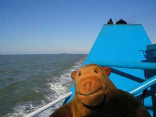 Mr Monkey looking out to sea from the back of the Seastar